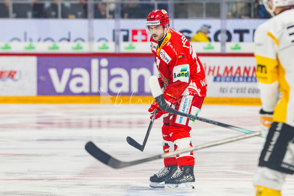 EHCB vs HCA 20260127_wb-9192 | Sportbilder, Sportfotograf, Hochzeits- und Eventfotografin, Flugshows, Portraits und Tiershooting, Aviation, Downhill, Nationalleague, Swissleague, International