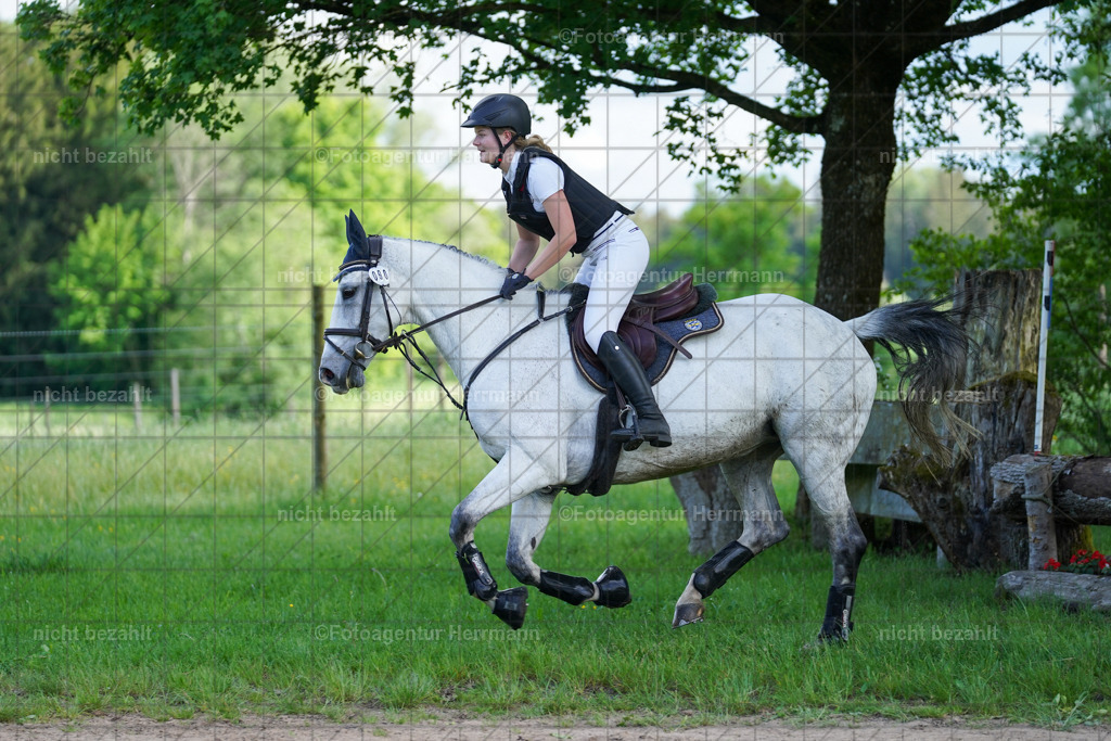 20240518-FAH04164 | Turnierbilder von Niederseon, Turnierfotografen Bayern, Fotoagentur Herrmann, Geländebilder, Reitsportfotografie