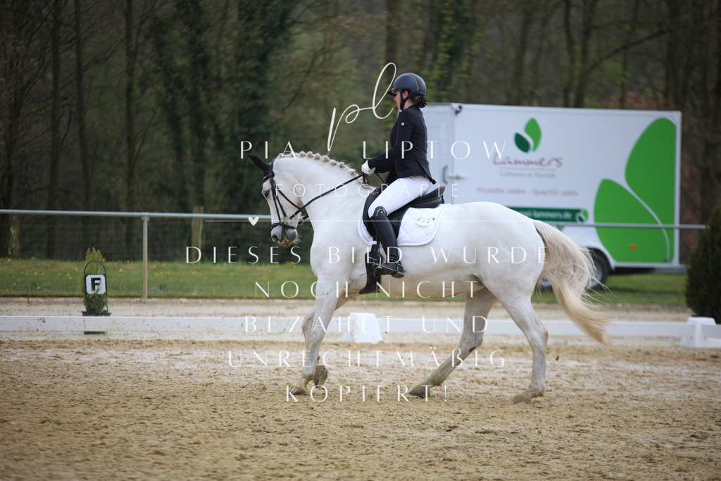 IMGT5490 | pl-fotografie