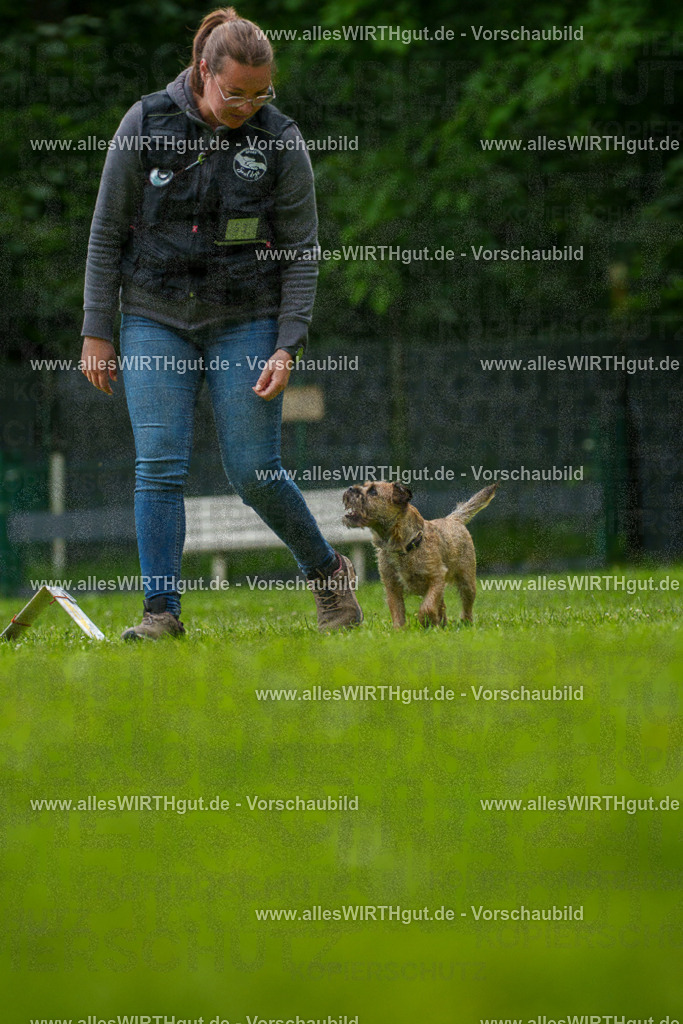 @allesWIRTHgut_Tierfotografie - www.allesWIRTHgut.de - 7R501938 | Professionelle Tierfotografie in Mönchengladbach von Daniel Wirth (allesWIRTHgut). Liebevolle & natürliche Bilder von Hunden & Katzen für unvergessliche Erinnerungen.