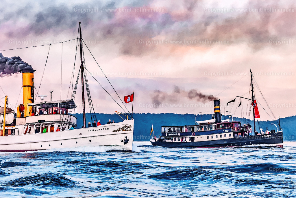 PDM2_1392_DRU19_Schaarhoern-Alex_120x80 | DIGITALKUNST. Dampfschiffe SCHAARHÖRN und ALEXANDRA. __ Der weiße Hamburger Peildampfer und der schwarze Salondampfer ALEXANDRA im Abendlicht auf der Flensburger Förde. Gemeinsame Fahrt bei einem unernsten Rennen beim Dampfer- Festival " Flensburger Dampf - Rundum ". __ Seitenverhältnis = 3 zu 2 - Realisiert mit Pictrs.com