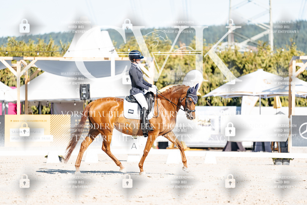 CK907289 | Turnierfotografie Pferdefotografie Trier Rheinland-Pfalz Pferdesport Reitsport Tierfotografie Sportfotografie Pferdevideo Pferdevideografie Equestrianvideography equestrianphotography  - Realisiert mit Pictrs.com