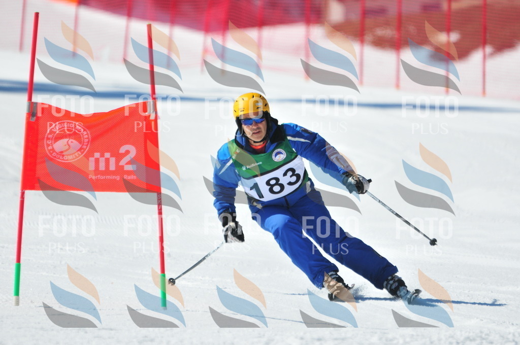 C4312 | holidayphoto