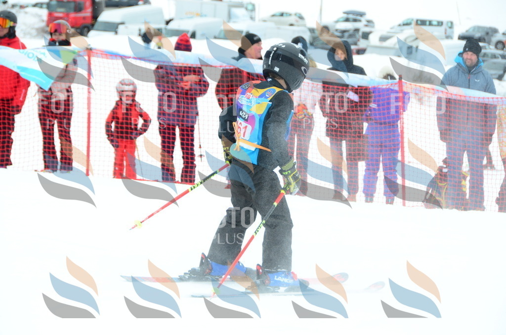 DSC_1530 | holidayphoto