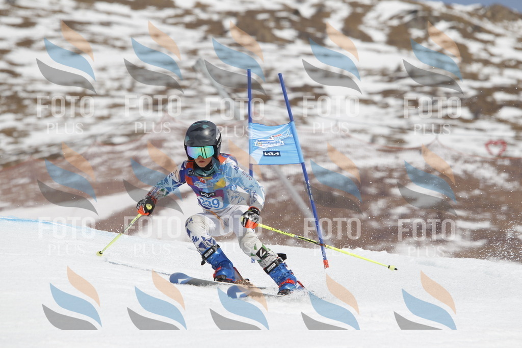 _U3G2660 | holidayphoto