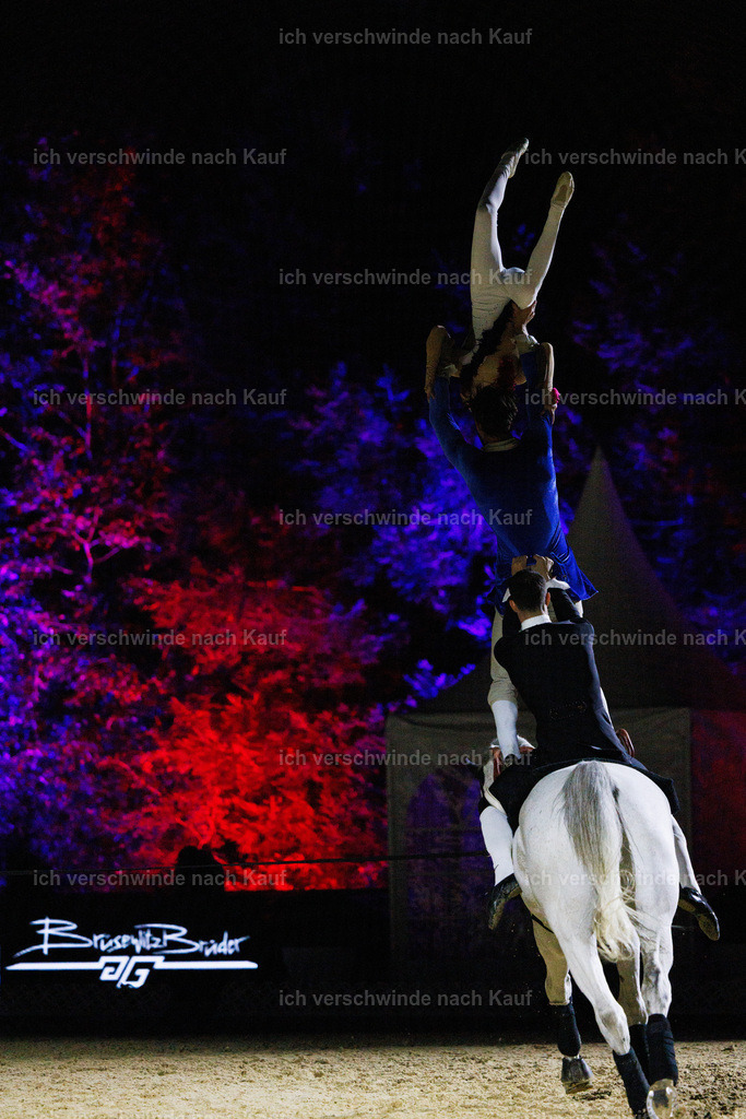 FHClassics-219 | working equitationturnier fotograf videograf stoibphotography marixx film working equitation deutschland reitsport turnierfotografie eventfotografie equestrian events