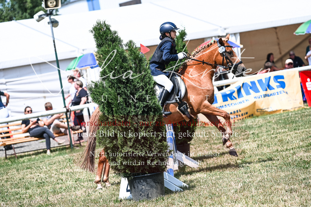 DSC_9674 | Pferde- und Turnierfotografie in Westsachsen. Pferdeportraits, Auftragszeichnungen und intuitive Kunst.