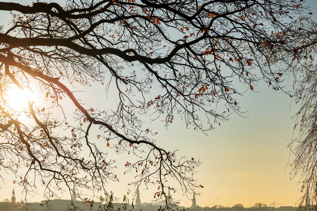 2022_12_11_HH-ALSTER_MCP6085 | Hochwertig gedruckte Fotografien für die Wand, als Kalender und zum Verschenken. Hamburg & Norddeutschland und überall wo ich mit der Kamera unterwegs war.