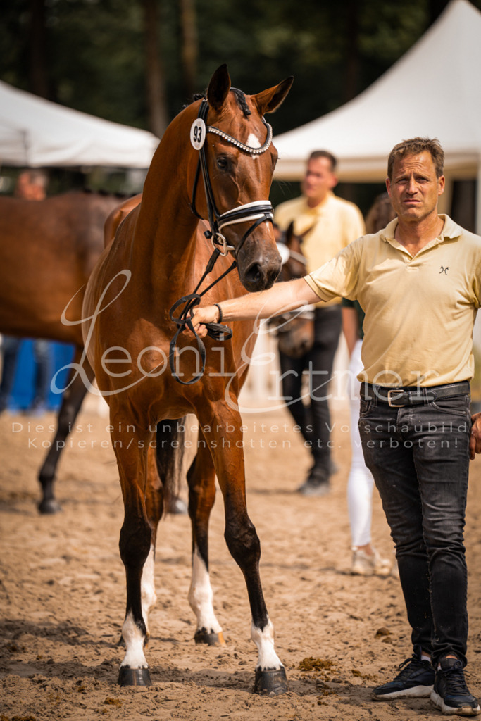 6.Fr00162 | Leoni Ertmer Photography - Realisiert mit Pictrs.com