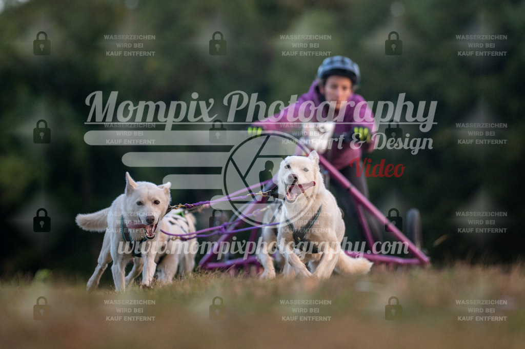 CDLBDB_15_10_2023_Dimanche-10 | PayLife