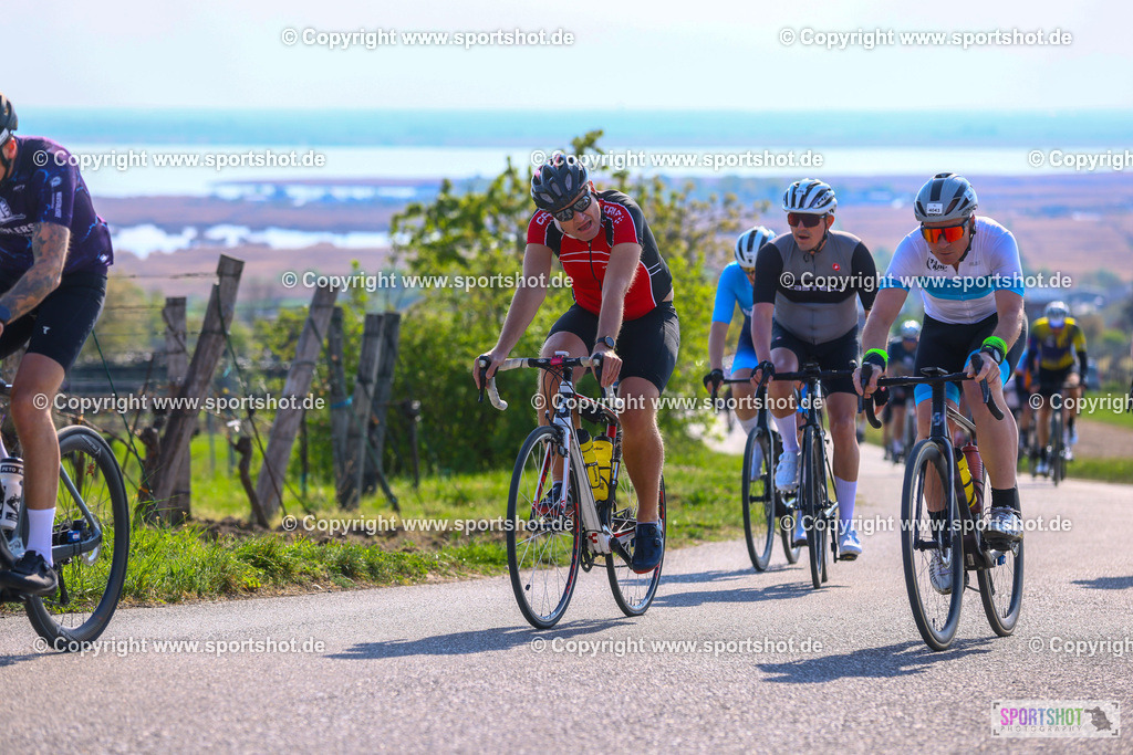 TRA_0753 | Neusiedlersee Radmarathon 2026@sportshot_your_pictrs #yourpictures#roadtowm2029 #nrm #neusiedlerseeradmarathon #neusiedlersee #neusiedlerseetourismus #burgenland #mörbisch #nrm26 #burgenlandtourismus #voglundco #poweredbyburgenlandtourismus #radsport #rad #marathon #ucigranfondo #visitburgenland #ucigranfondoworldseries