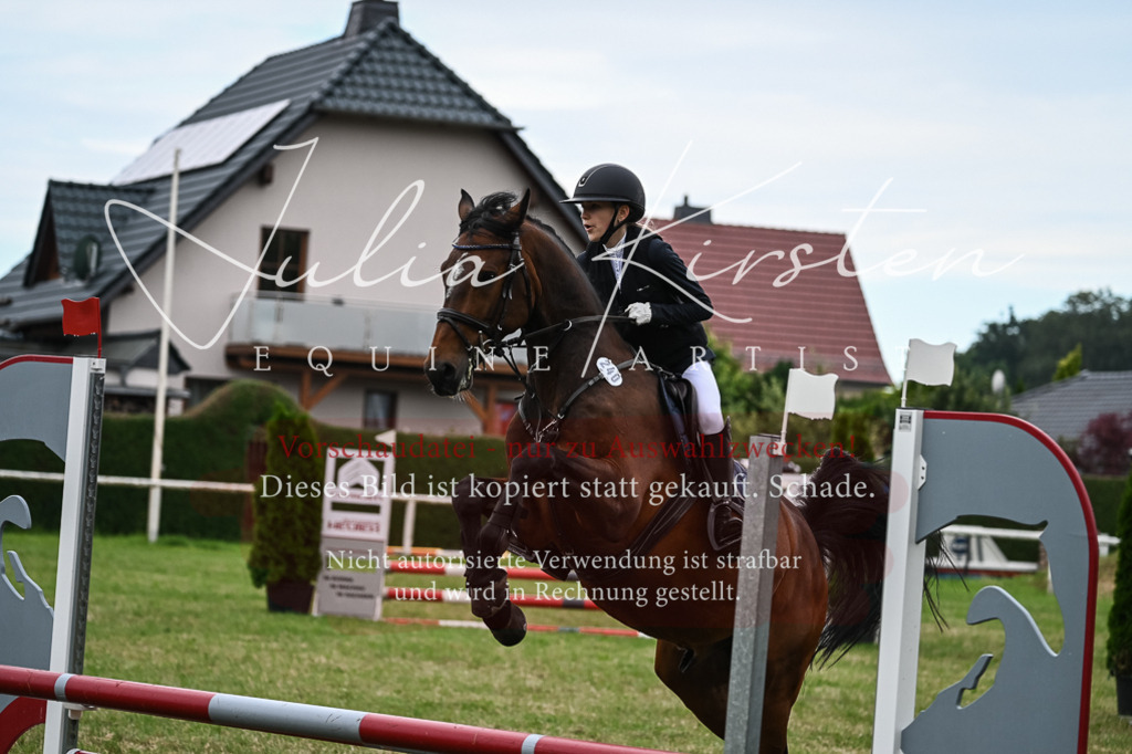 DSC_8479 | Pferde- und Turnierfotografie in Westsachsen. Pferdeportraits, Auftragszeichnungen und intuitive Kunst.