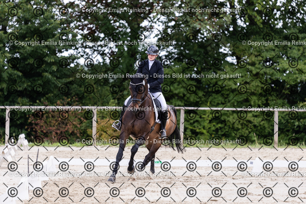 CL5A1988 | Emilia Reinking Fotografie - Realisiert mit Pictrs.com