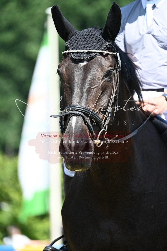 DSC_0864 | Pferde- und Turnierfotografie in Westsachsen. Pferdeportraits, Auftragszeichnungen und intuitive Kunst.