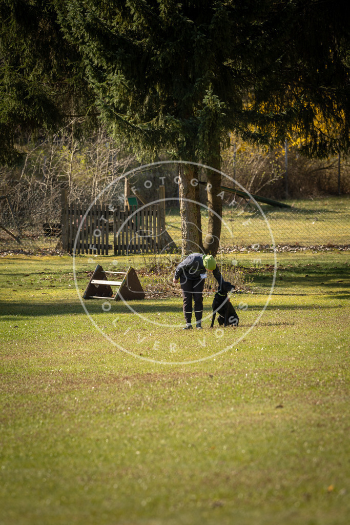 Pfotenfotografie_DV3A0337 | Hundefotografie, Tierfotograf, Pfotenfotografie, Fotoshooting Hund, Hunde Portrait, Hundesport, Hundeportraits, Heideshooting, Hunde, Sportfotograf, Hundefotograf, Turnierhundsport, THS,  - Realisiert mit Pictrs.com