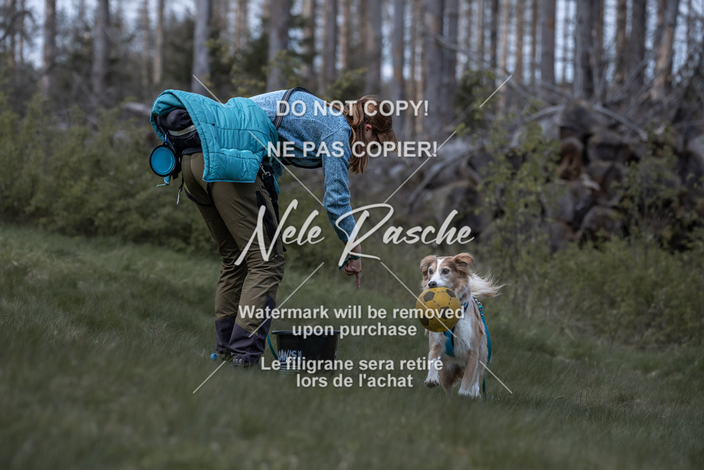 6Z1A1056 | nelerasche