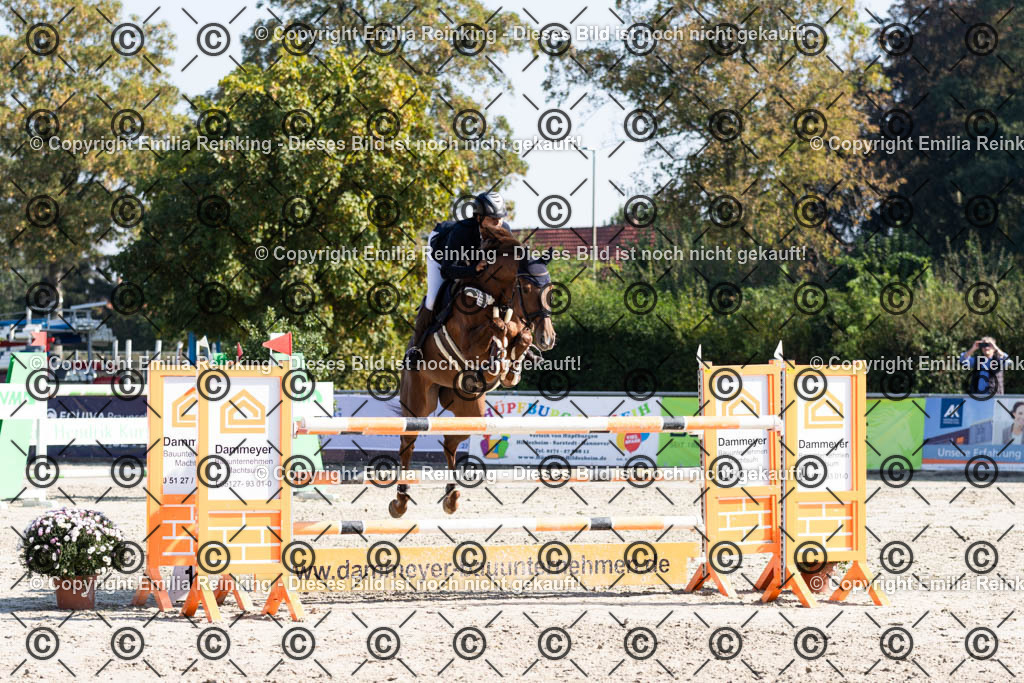 CL5A6170 | Emilia Reinking Fotografie - Realisiert mit Pictrs.com