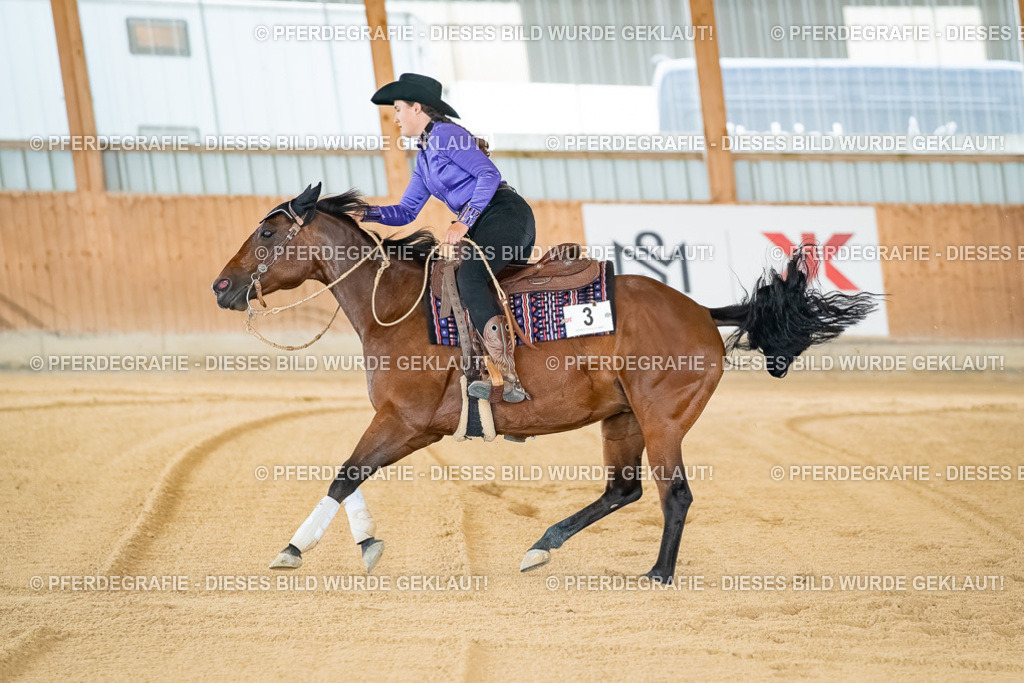 DSC07691 | Pferdegrafie