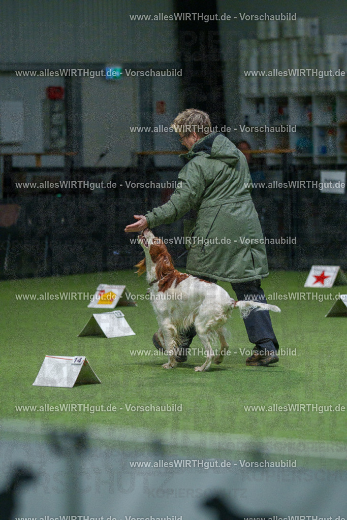 7R500162 | Professionelle Tierfotografie in Mönchengladbach von Daniel Wirth (allesWIRTHgut). Liebevolle & natürliche Bilder von Hunden & Katzen für unvergessliche Erinnerungen.