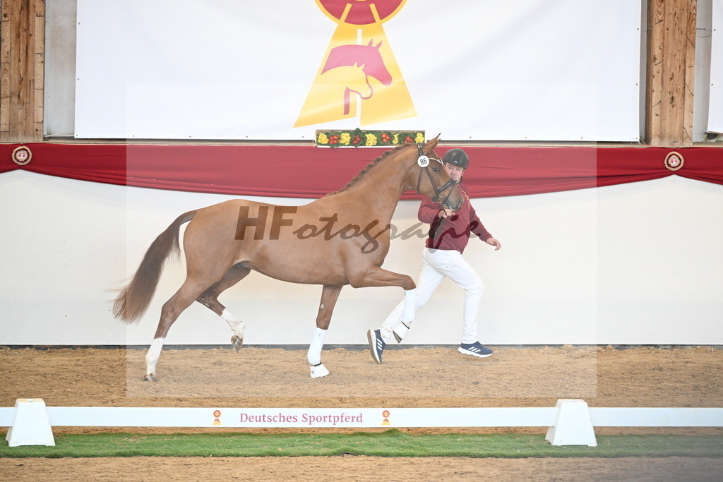 Kat.-Nr. 86 v. Vitalis_Bachinger_2250860 | hf-fotografie - Realisiert mit Pictrs.com