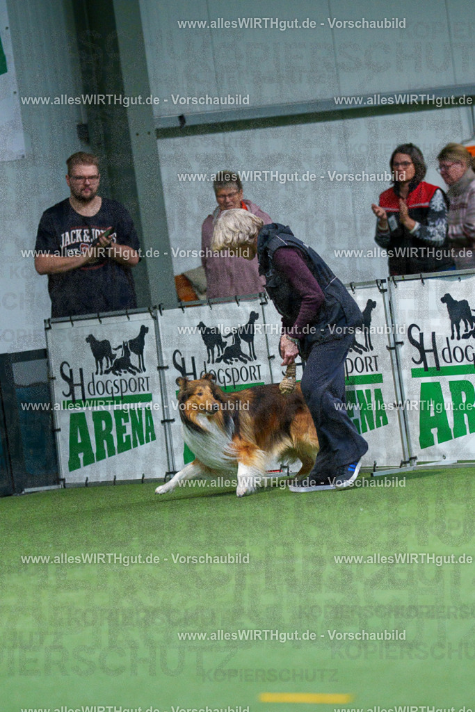 7R502177 | Professionelle Tierfotografie in Mönchengladbach von Daniel Wirth (allesWIRTHgut). Liebevolle & natürliche Bilder von Hunden & Katzen für unvergessliche Erinnerungen.