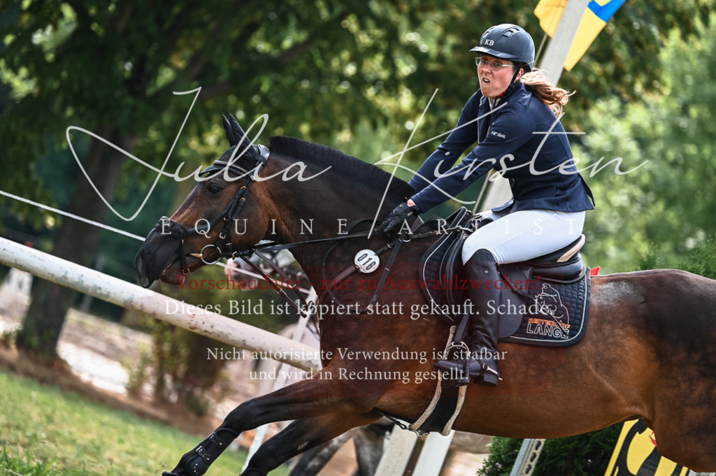 DSC_8259 | Pferde- und Turnierfotografie in Westsachsen. Pferdeportraits, Auftragszeichnungen und intuitive Kunst.