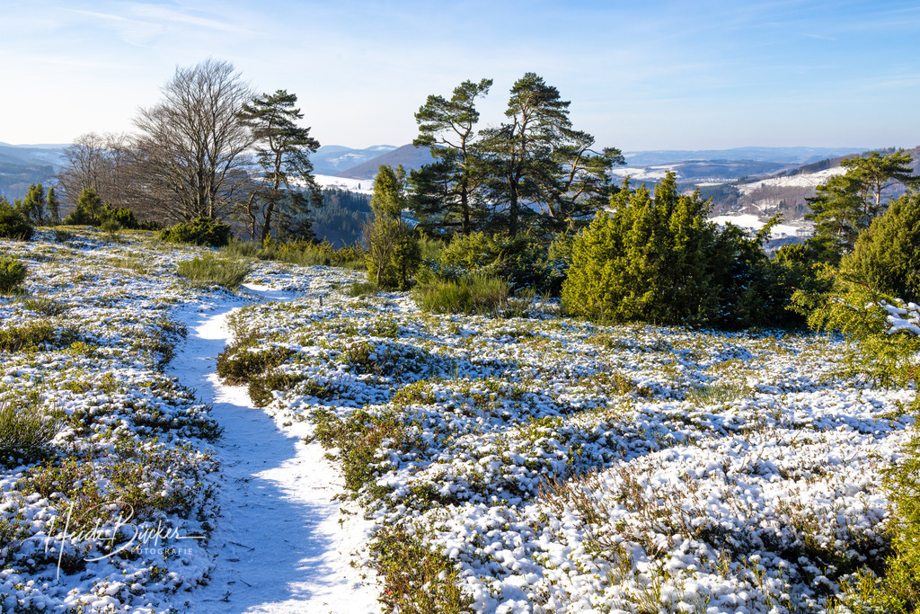 Wachholderheide im Winter | Bilder und Impressionen zu jeder Jahreszeit aus dem Sauerland im Naturpark Sauerland-Rothaargebirge - Realisiert mit Pictrs.com