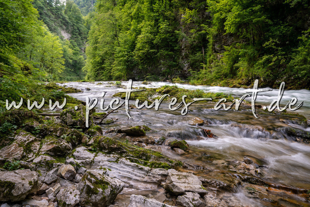 DSC09798 | pictures-art.de