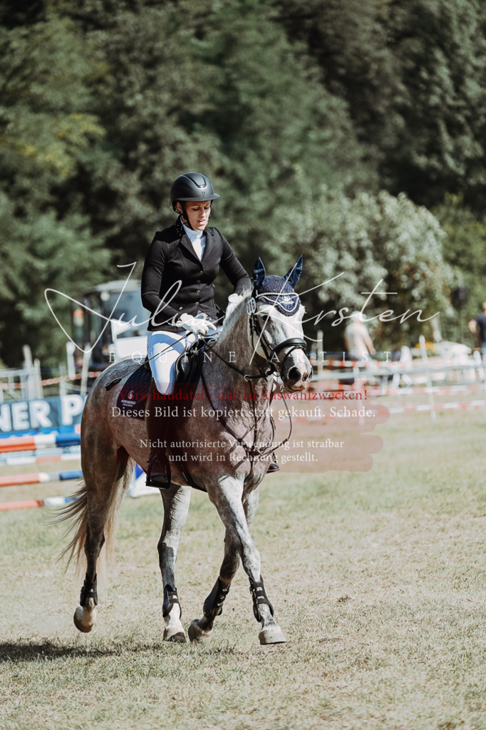 DSC_9489 | Pferde- und Turnierfotografie in Westsachsen. Pferdeportraits, Auftragszeichnungen und intuitive Kunst.