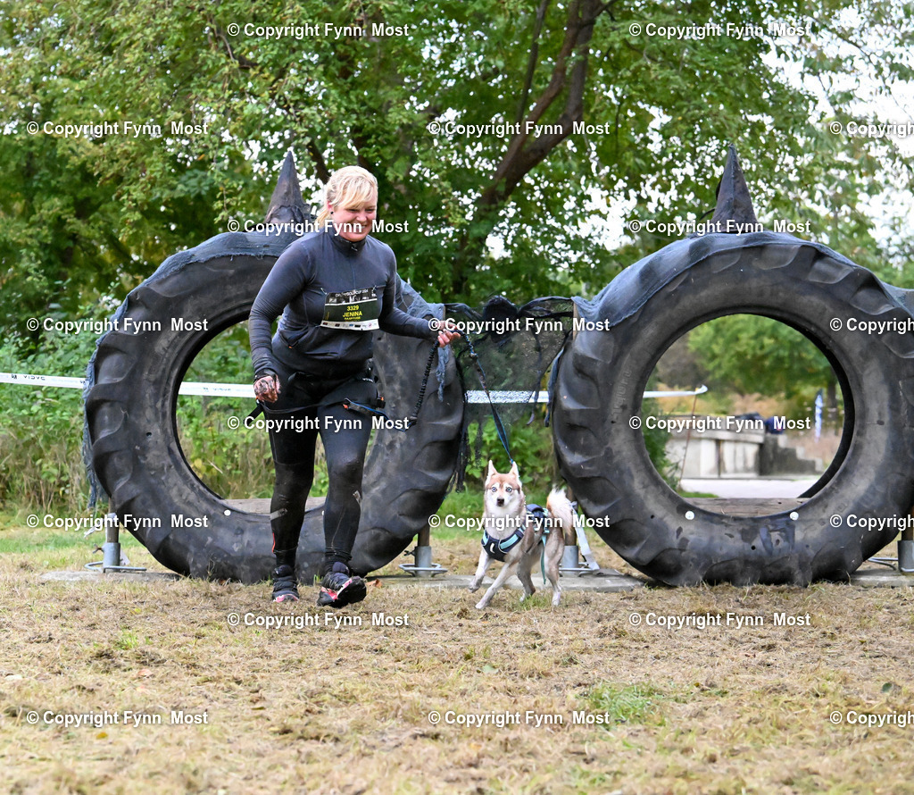 DSC_8181 | Hallo und herzlich Willkommen auf meiner Shop-Seite Fynn Most.

Ich wünsche Dir viel Spaß beim stöbern durch die Bilder, wenn Du Fragen hast oder Bilder vermisst, kannst du mir gerne eine Nachricht schreiben. - Realisiert mit Pictrs.com