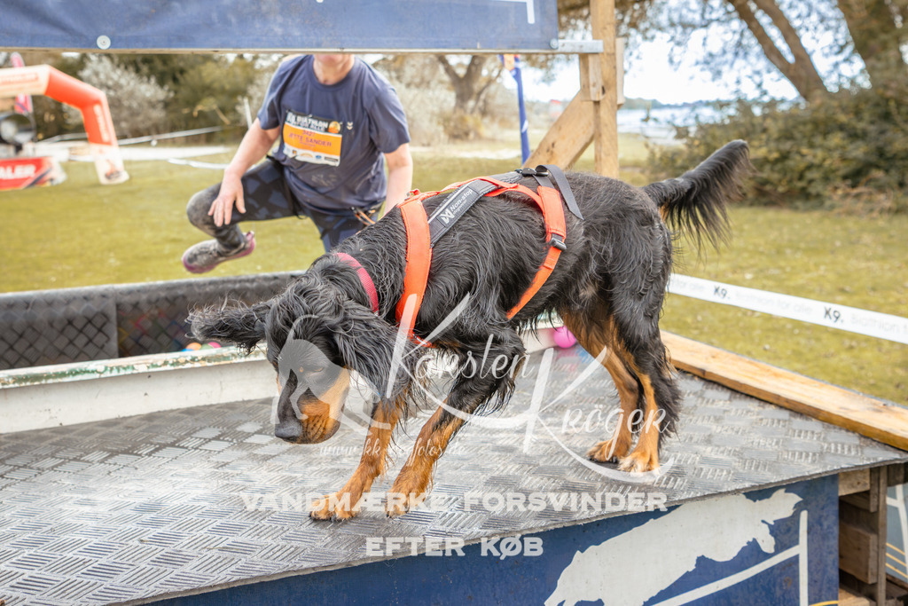 1347_ZZ92224-2 | kk-dogfotos