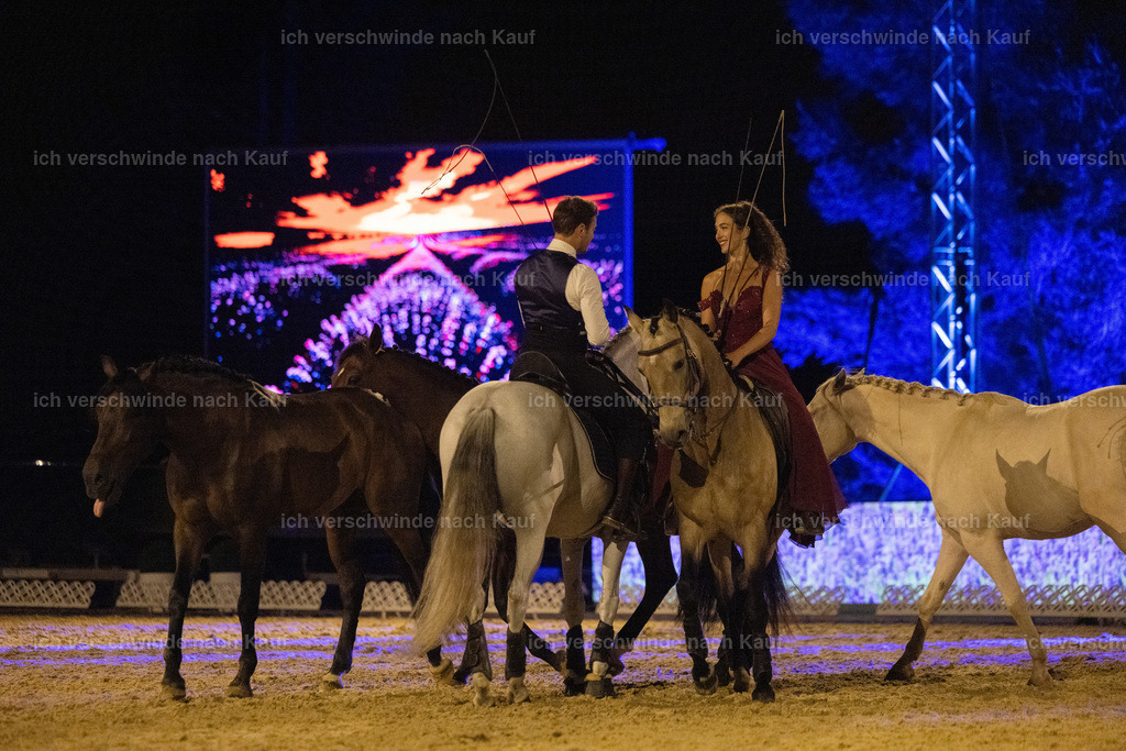 FHClassics-335 | working equitationturnier fotograf videograf stoibphotography marixx film working equitation deutschland reitsport turnierfotografie eventfotografie equestrian events