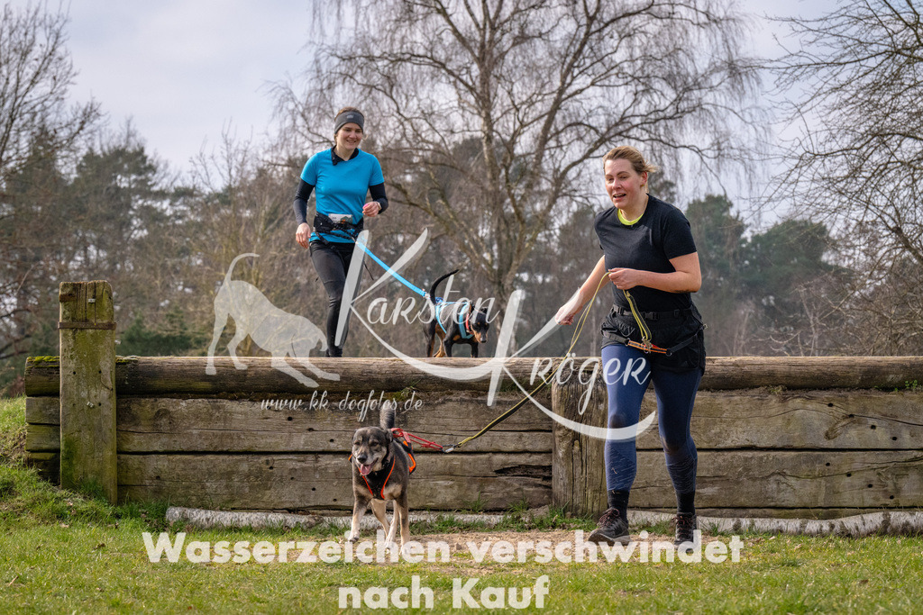 _ZZ91391 | kk-dogfotos