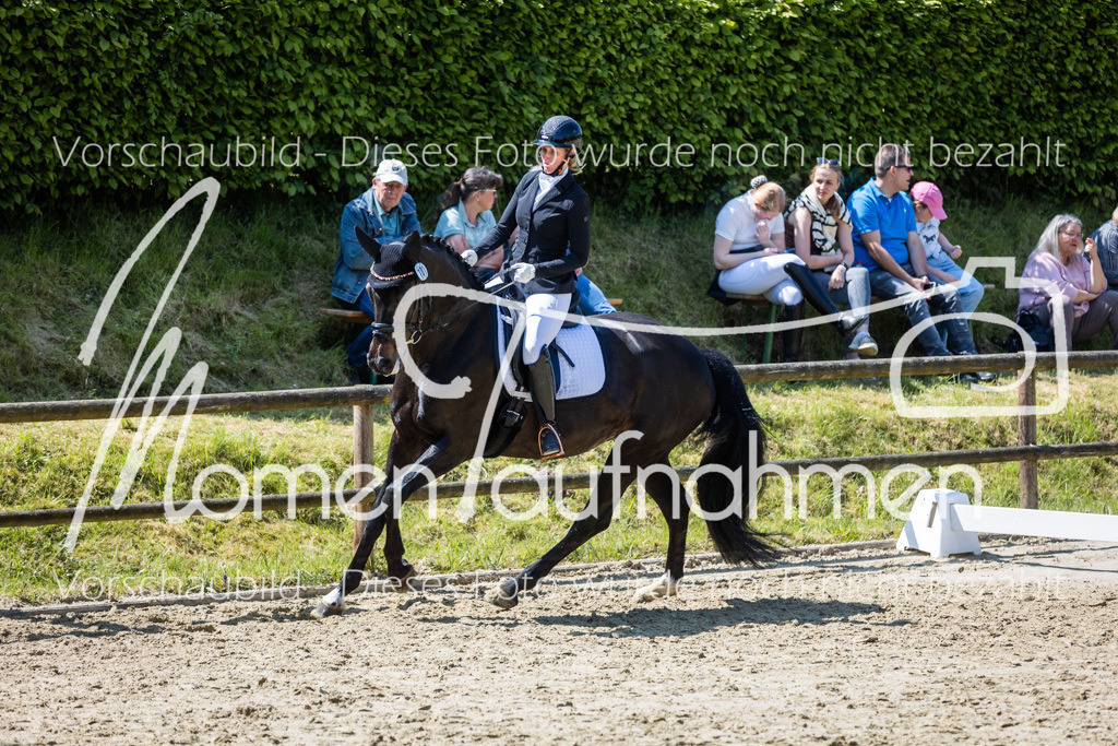 Donop24-L-Dre-095 | MomenTaufnahmen Pferdesportfotos