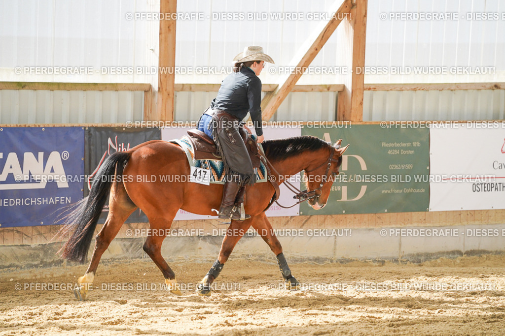 DSC06127 | Pferdegrafie