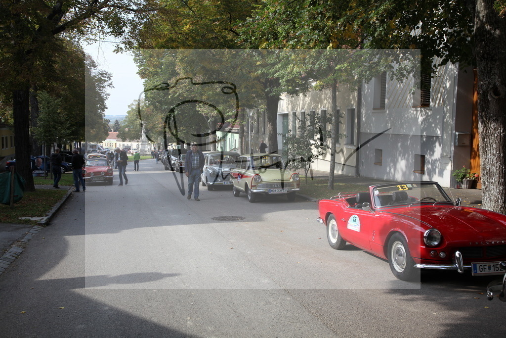 IMG_2131 | Gerhard Witt