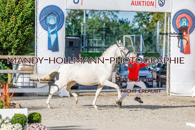 DR (1224 von 1791) | mandyhollmannphotographie