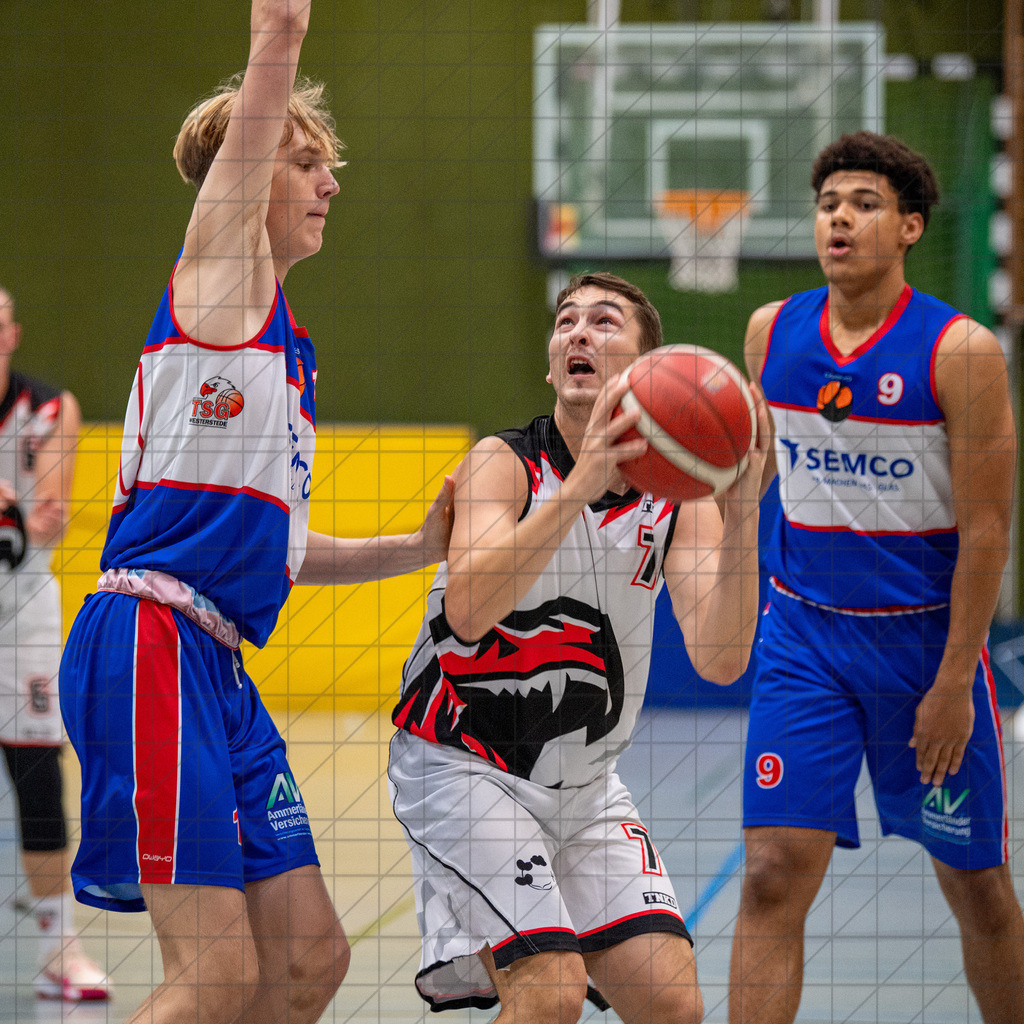2. RL West | 05.10.2024 | Bad Essen vs. TSG Westerstede 2 | 2. RL West | 05.10.2024 | Bad Essen vs. TSG Westerstede 2 - - - - - CREDIT, www.bullenfotos.de, Martin König, Hörner Weg 40, D-49078 Osnabrück, +4917663732967, Nutzung und Weitergabe nur zu den vereinbarten Zwecken. Presseanfragen an Ersteller. Alle Rechte beim Ersteller. - - - - - - Realisiert mit Pictrs.com