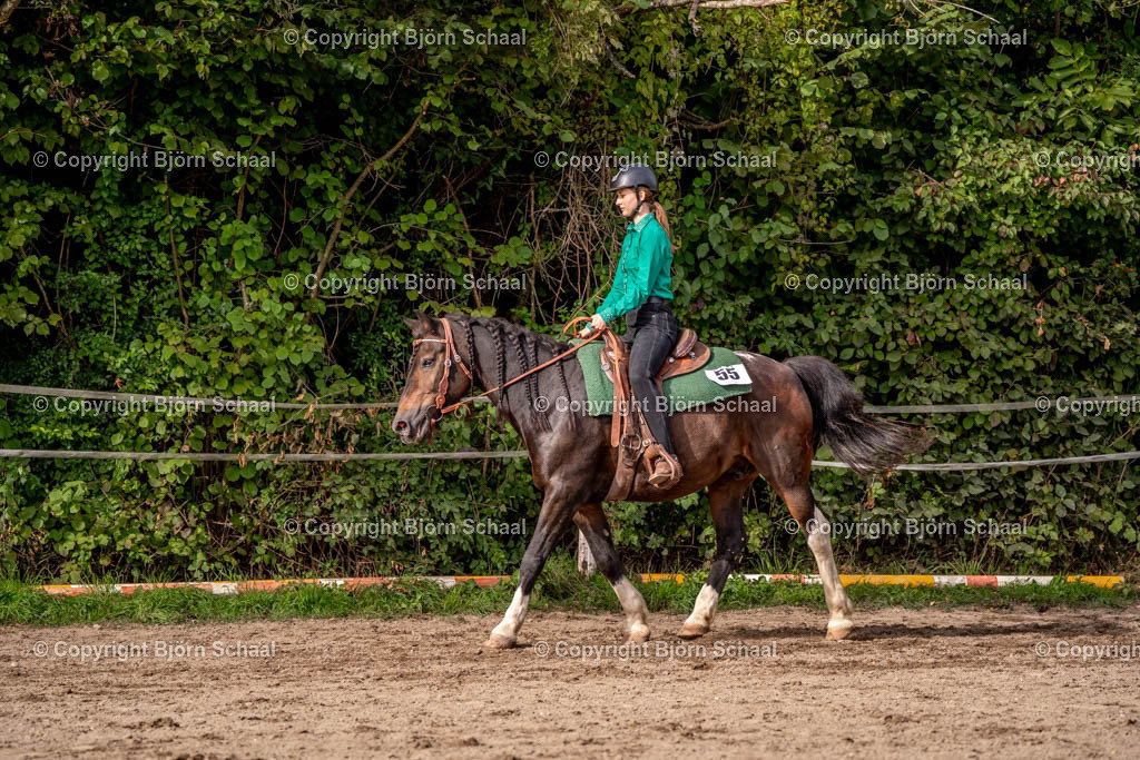 SAL03399 | BS-foto