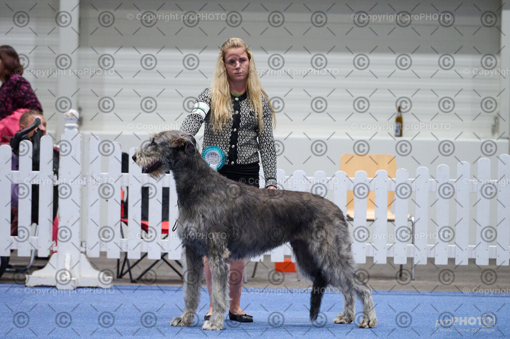 202406_ÖKV-IHA-Tulln24_DSC_3224 | proPHOTO - Realisiert mit Pictrs.com