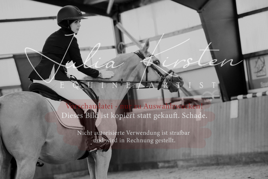 DSC_7262 | Pferde- und Turnierfotografie in Westsachsen. Pferdeportraits, Auftragszeichnungen und intuitive Kunst.