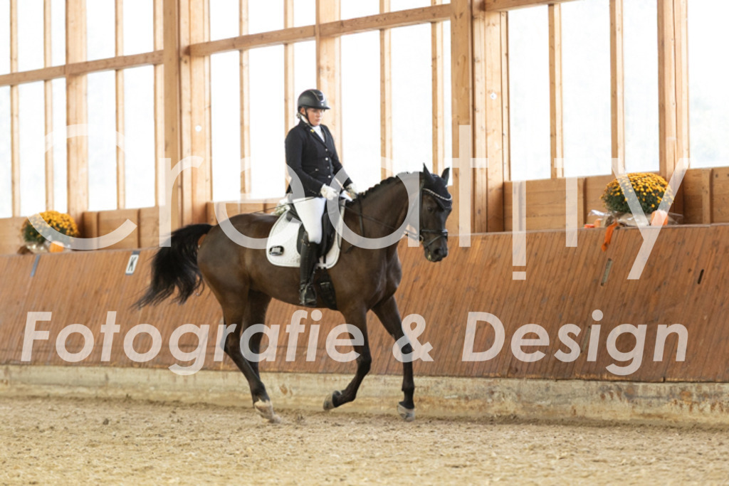 IMG_5987 | Creatify Fotografie