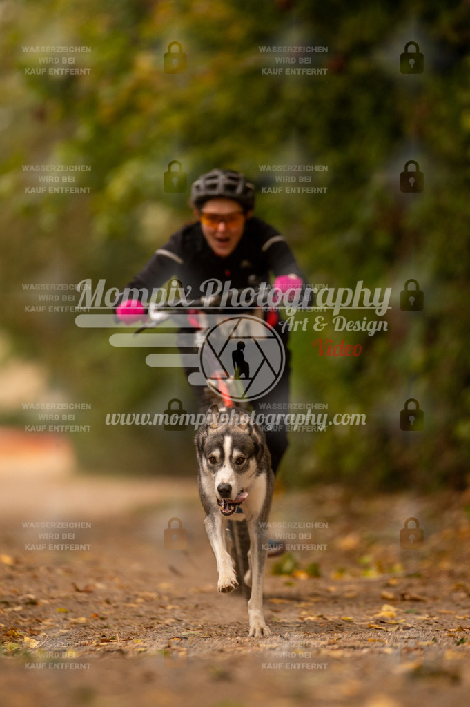 CDLBDB_14_10_2023_Samedi-151 | PayLife