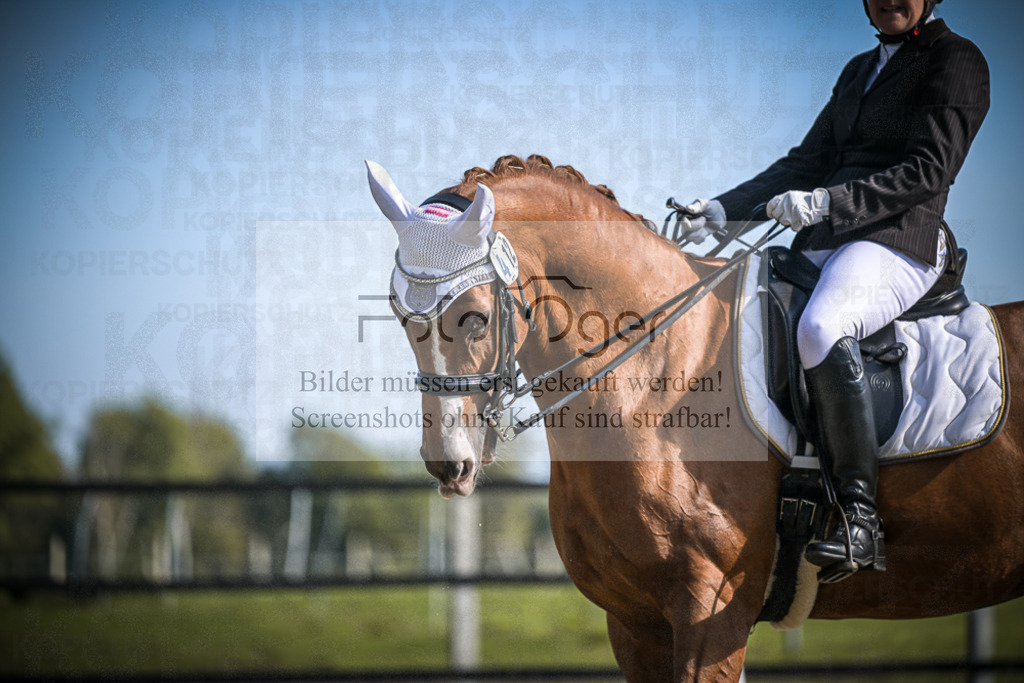 DOS_1564 | Entdecke hochwertige Reitturnierfotos von Foto Oger. Professionell, emotional und authentisch – jetzt Lieblingsmomente im Shop bestellen.Deutschlandweite Turnierfotografie. - Realisiert mit Pictrs.com