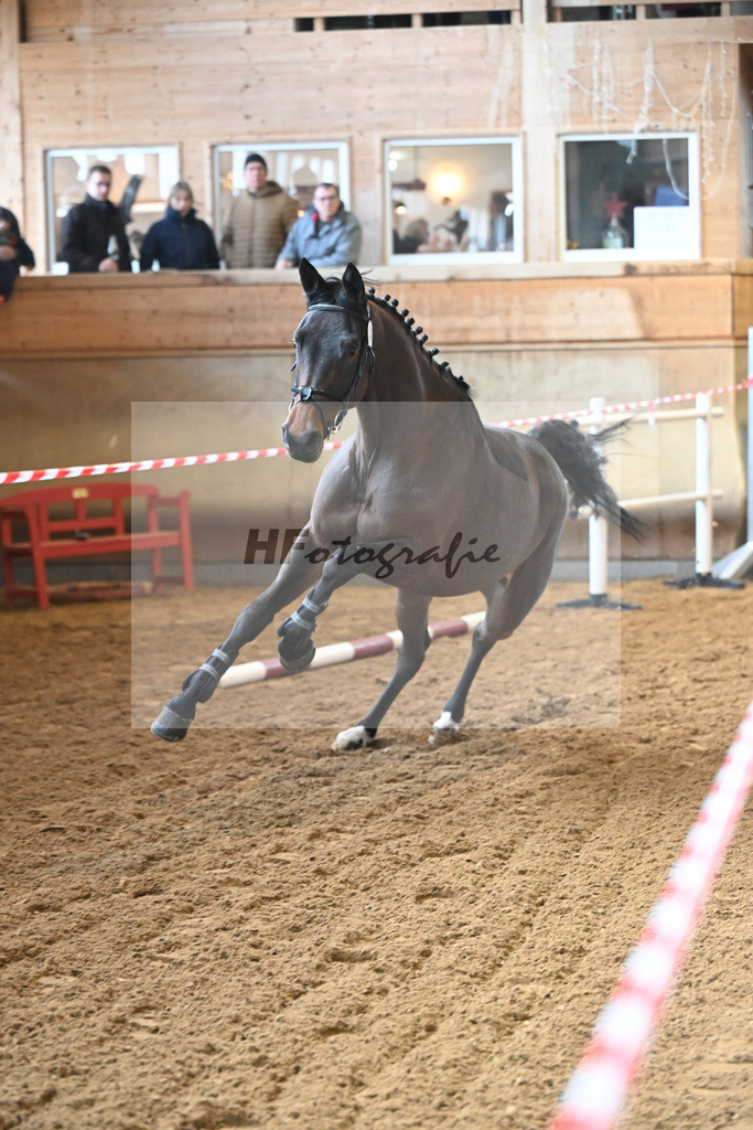 Kat-Nr. 33 Carassina S v. Chinchero_Schaefer_16250844 | hf-fotografie - Realisiert mit Pictrs.com