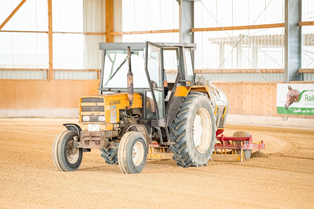 DSC01470 | Pferdegrafie