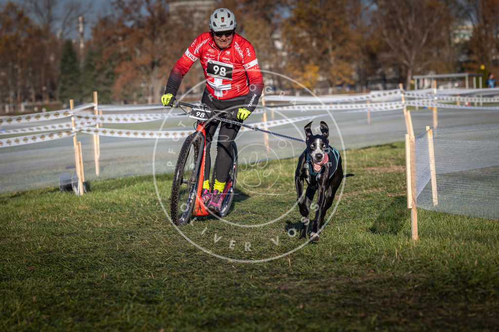 CaniXpix_0L8A4101 | Hundefotografie, Tierfotograf, Pfotenfotografie, Fotoshooting Hund, Hunde Portrait, Hundesport, Hundeportraits, Heideshooting, Hunde, Sportfotograf, Hundefotograf, Turnierhundsport, THS,  - Realisiert mit Pictrs.com