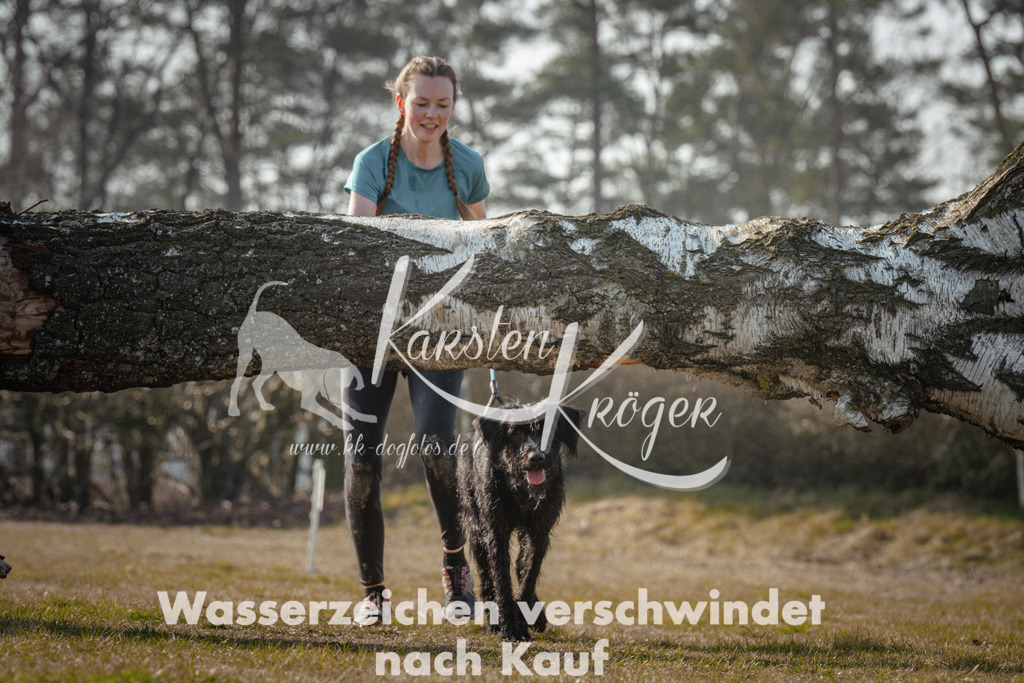 1017_ZZ92312 | kk-dogfotos