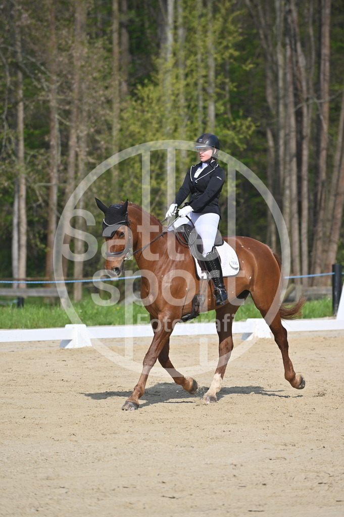 DSC_0400 | sattelsport - Realisiert mit Pictrs.com