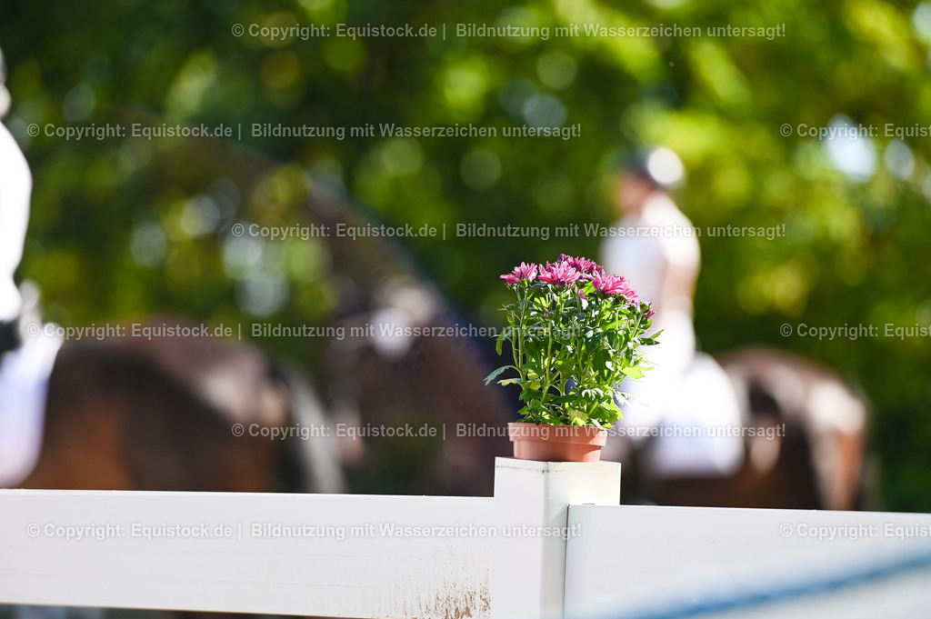 20230715_06_Dressurpferdeprfg. Kl.A_0232 | equistock